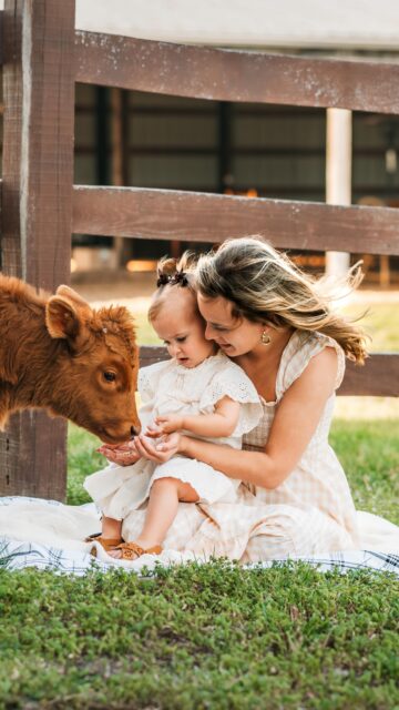 Motherhood & the cutest mini cow💕

#photographer #photo #photography #photoshoot #motherhood